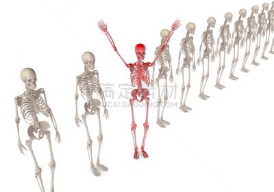 人群,概念,与众不同,领导能力,团队,商务,成年的,骨骼,人类骨架,职业
