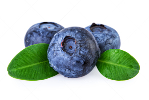 蓝莓,水,清新,水滴,浆果,白色背景,健康食物,背景分离,水平画幅,素食