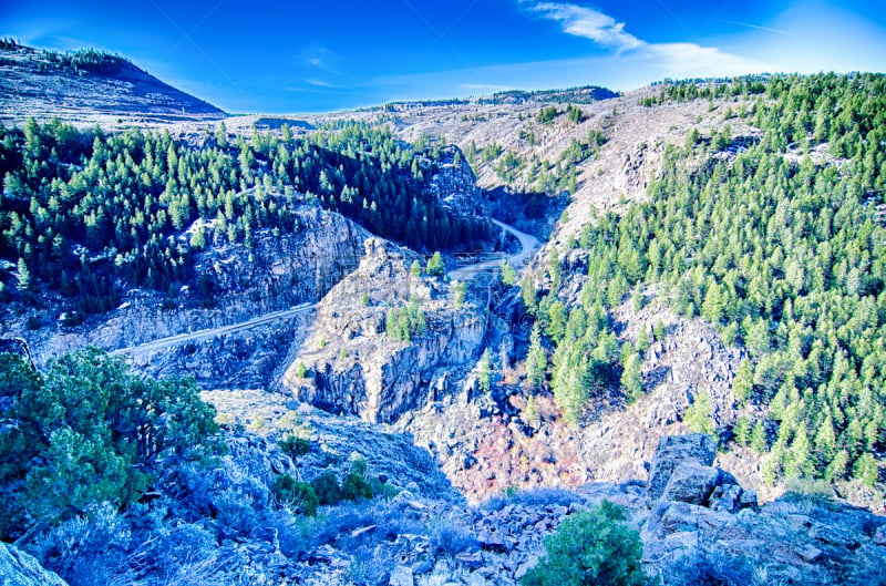 山麓,科罗拉多洛基,自然,草地,水平画幅,山,岩石,无人,户外,野生植物