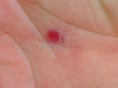 手,捧着,援助之手,美,四肢,水平画幅,干的,白人,特写,部分