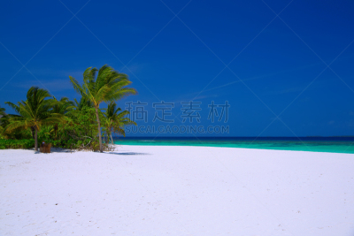 马尔代夫,巴阿环礁,水,天空,度假胜地,水平画幅,沙子,无人,椰子树,夏天