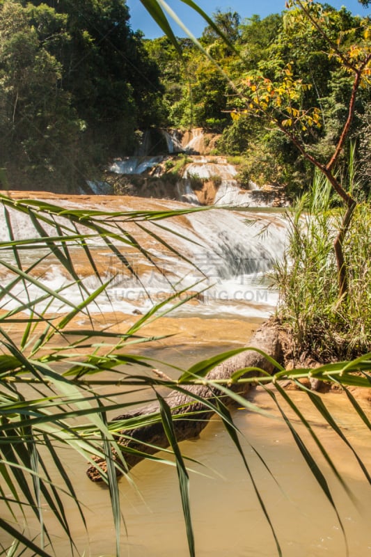 Agua Azul Cascades,自然,垂直画幅,野生动物,瀑布,无人,夏天,户外,湖,泻湖