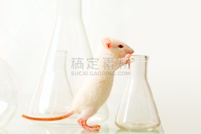 烧杯,电视静音,新的,捕鼠器,生物科技,水平画幅,微生物学,无人,试管,玻璃