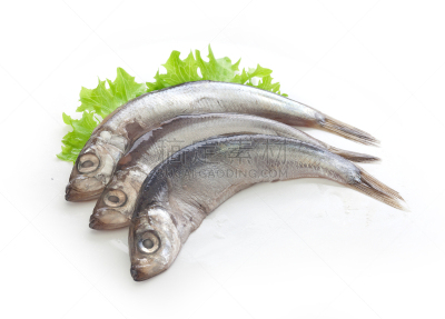 莴苣,鱼肉,水平画幅,绿色,无人,膳食,海产,香料,背景分离,鲱鱼