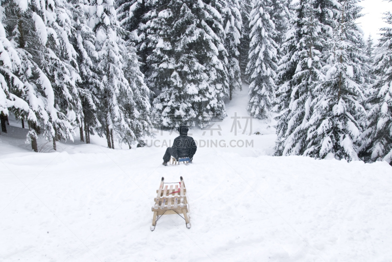 雪橇滑学,动物雪车,女人,水平画幅,地形,雪,人,户外,业余爱好,运动