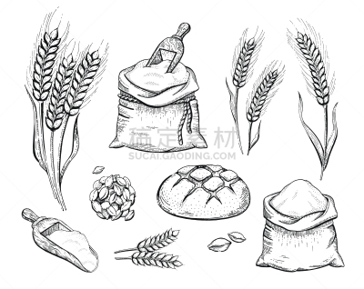 绘画插图,符号,面包,矢量,有机食品,白色背景,面包店,面粉,手,人的耳朵