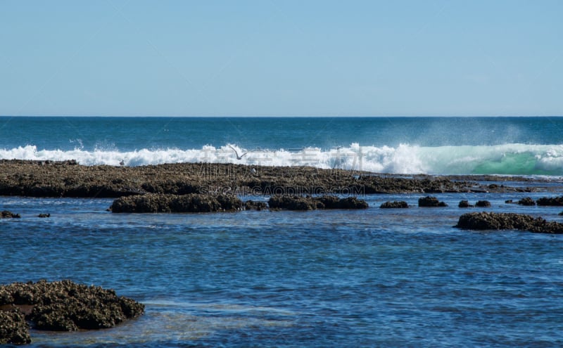 潮水坑,海洋,海鸥,在上面,蓝孔,kalbarri,石砌,浅的,水,天空