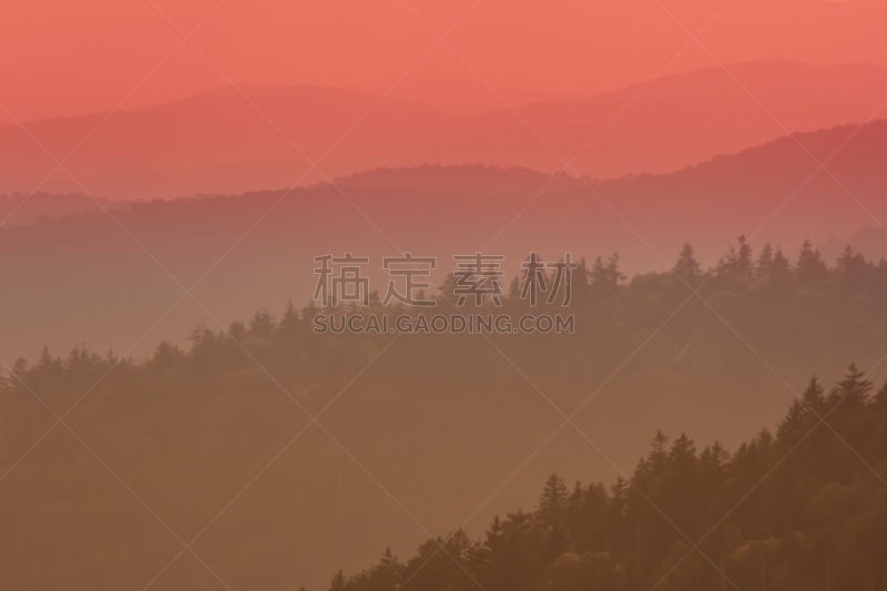 红色,clingman's dome,南卡罗来那,田纳西,阿巴拉契亚山脉,褐色,水平画幅,无人,户外