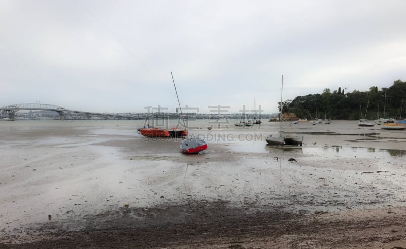 奥克兰,都市风景,新西兰,waitemata harbour,水平画幅,沙子,天空塔,无人,城市天际线,新西兰北岛