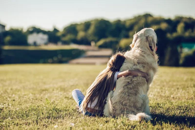 狗 小的 可爱的 女孩 美 公园 寻回犬 水平画幅 进行中 巨大的图片素材下载 稿定素材