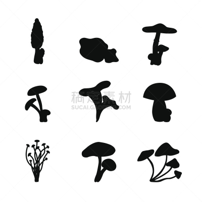 黑色,食用菌,白色背景,木质假面状口蘑,羊肚菌,毒红菇,伞形毒菌,植物叶柄,蔬菜,清新