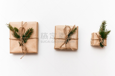 包装纸,白色,枝,分离着色,云杉,水平画幅,无人,白俄罗斯,欧亚家燕,戏剧表演