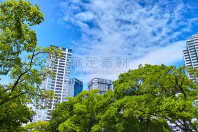 绿色,公寓,摩天大楼,清新,水平画幅,枝繁叶茂,无人,日本,夏天,户外