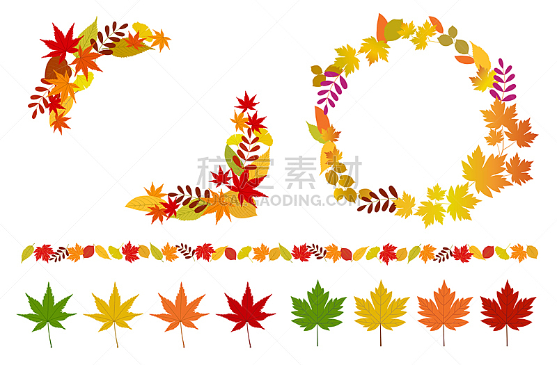 边框,叶子,秋天,图标集,留白,水平画幅,无人,银杏,绘画插图,模板