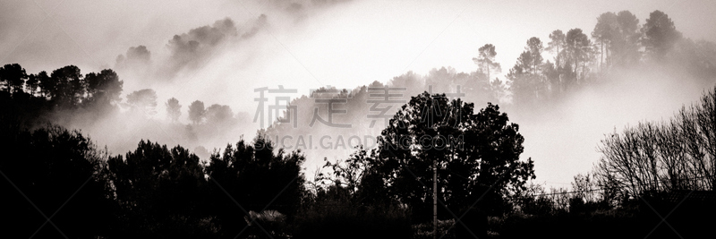 雾,森林,塞文山区,天空,美,水平画幅,云,无人,古老的,户外