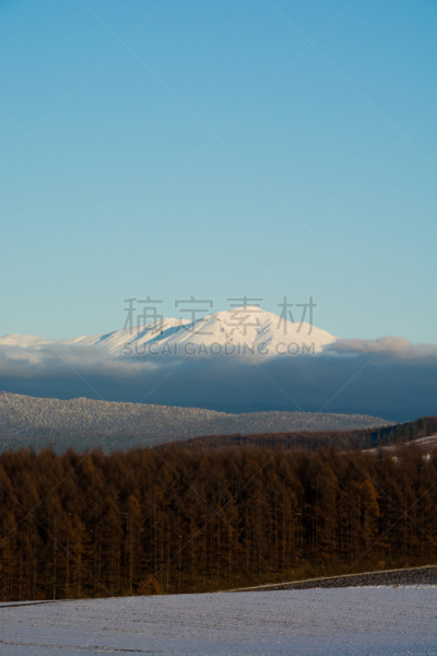 天空,雪,山,森林,落叶松,垂直画幅,留白,云,无人,耕地