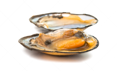 煮食,贝壳,组物体,分离着色,贻贝,珠母,饮食,水平画幅,软体动物,开胃品