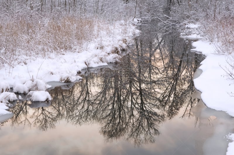 美洲落叶松,冬天,小溪,自然,水,宁静,水平画幅,地形,雪,无人