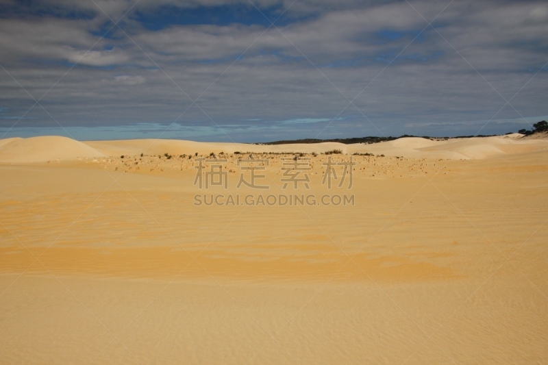 沙漠,远距离,石峰沙漠,石林,石化木,自然立柱,喀斯特,西澳大利亚,气候,水平画幅