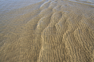 波浪,水,水平画幅,沙子,无人,海产,夏天,户外,海鱼,太阳