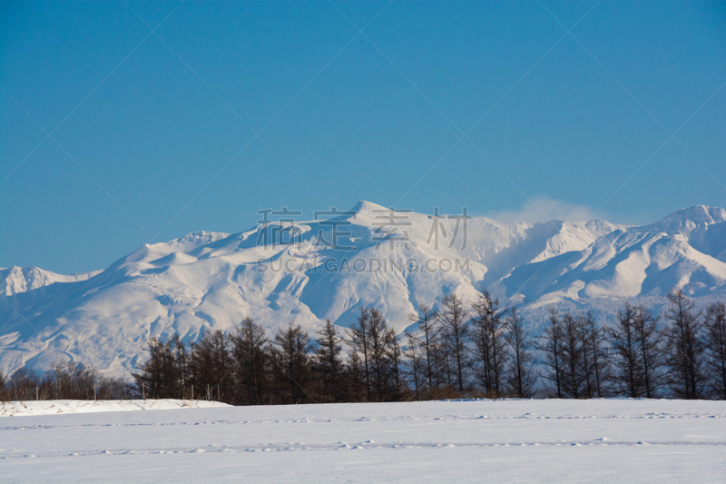 天空,冬天,山,蓝色,派恩赫斯特,十胜岳,日本落叶松,美瑛町,落叶松,雪山