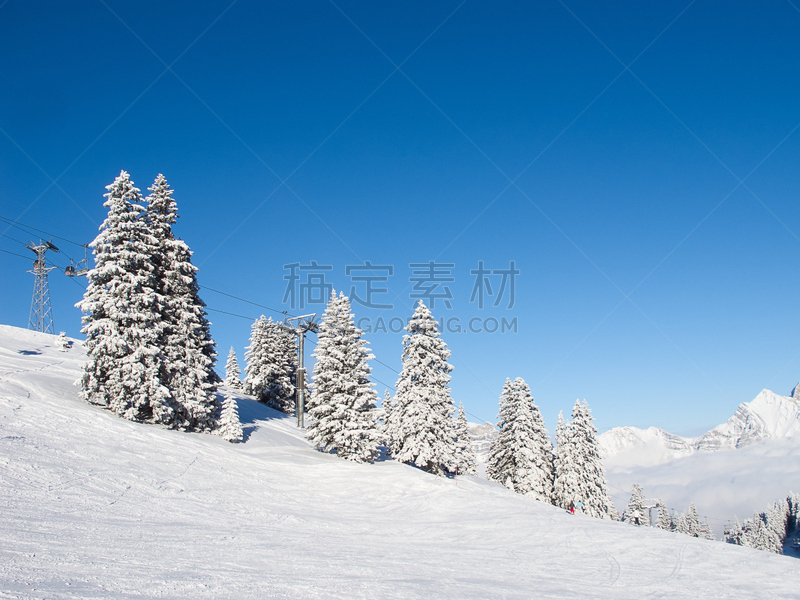 滑雪坡,水平画幅,山,雪,无人,树林,瑞士阿尔卑斯山,白色,冬天,阿尔卑斯山脉