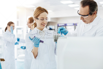 有钱人,时间,愉快的,dna purification,生物传感器,基因组学,基因突变,医学样本,拉布拉多犬