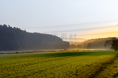 早晨,雾,电缆,冰淇淋,天空,美,水平画幅,湿,夏天,户外