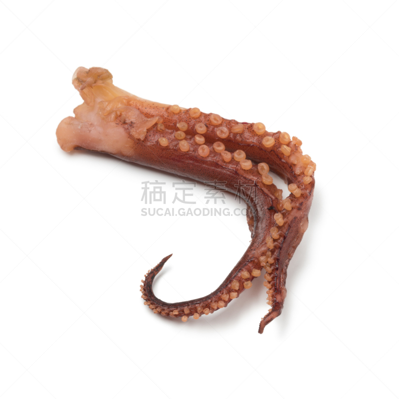 触须,醋,调味品,日本,鱿鱼,干燥食品,传统,自然界的状态,背景分离,食品