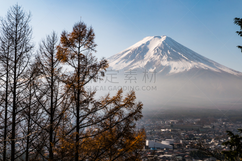 富士山,箱根湿地植物园,箱根园,富士吉田,富士箱根伊豆国立公园,河口湖,富士河口湖,山梨县,度假胜地,水平画幅