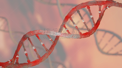 螺旋,脱氧核糖核酸,crispr,遗传研究,概念,端粒,基因突变,染色体,放大效果,生物科技