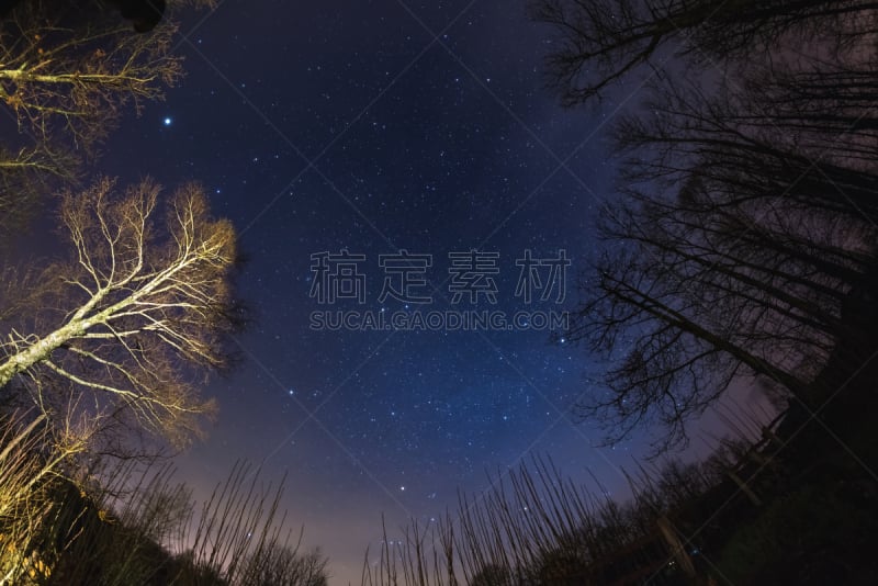 星系,树林,风景,宽的,超声波,天狼星,波琉斯,卡斯托尔,猎户座大星云,木星