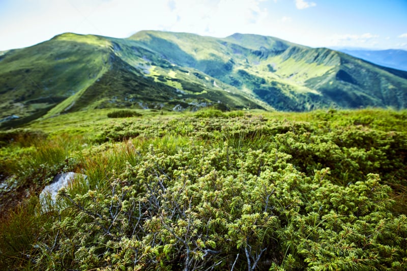 山,自然美,看风景,在上面,塞梅鲁火山,bromo-tengger-semeru national park,东爪哇,滨海阿尔卑斯,春夏系列,东正教