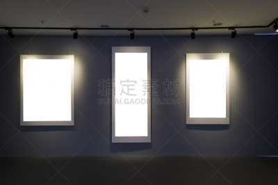 画廊,室内,水平画幅,无人,照明设备,装饰物,聚光灯,相框,居家装饰,摄影