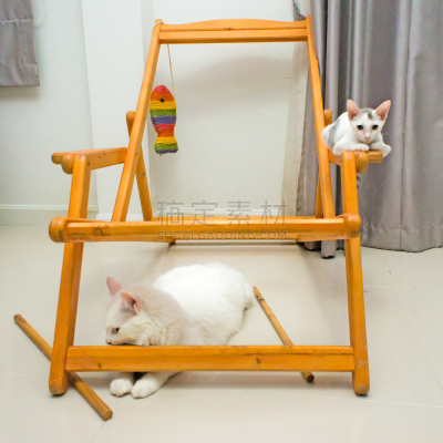 椅子,公亩,白色,两只动物,猫,缅因州,自然,小的,可爱的,猫科动物