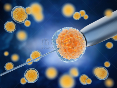 人工授精,胚胎,卵巢,干细胞,显微镜,人造的,生物科技,水平画幅,精子,绘画插图