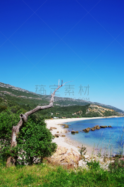 海滩,家畜,阿拉比达自然公园,垂直画幅,水,天空,沙子,无人,大西洋,海岸地形