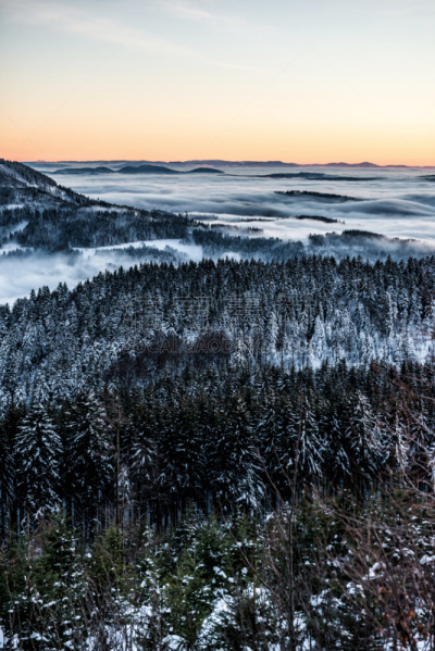 冬天,徒步旅行,黑森林,垂直画幅,山,德国高速列车,夜晚,雪,早晨,曙暮光