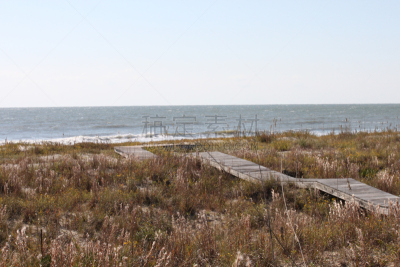 科瓦希岛,南卡罗来那,barrier islands,查尔斯顿,木板路,美国,旅游目的地,水平画幅,大西洋,旅行者