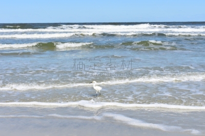 天空,海滩,太阳,苍鹭,白昼,蓝色,雪,大白鹭,水