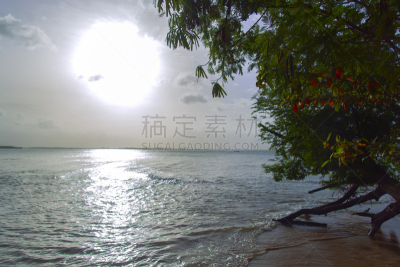 成一排,海岸地形,攀牙湾,甲米,自然,水平画幅,沙子,岩石,无人,夏天