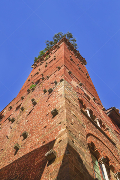卢卡,托斯卡纳区,归尼吉塔,纪念碑,外立面,名声,垂直画幅,天空,墙,无人