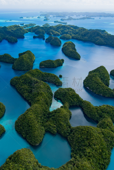 帕劳,海洋,湖,垂直画幅,度假胜地,地形,可爱的,无人,科罗尔,户外