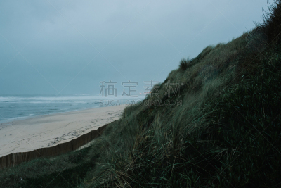 海滩,美国海滩草,瑟多姆岛,滨草,波罗的海,自然,留白,宁静,水平画幅,沙子