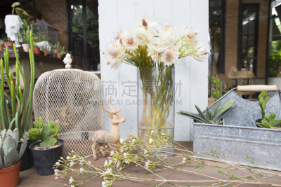 sky plant,静物,仅一朵花,困窘,窗帘,植物,2015年,夏天,木制,园艺