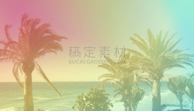 棕榈树,单色图片,热带气候,复古风格,背景,热带树,夏天,户外,天空,晴朗