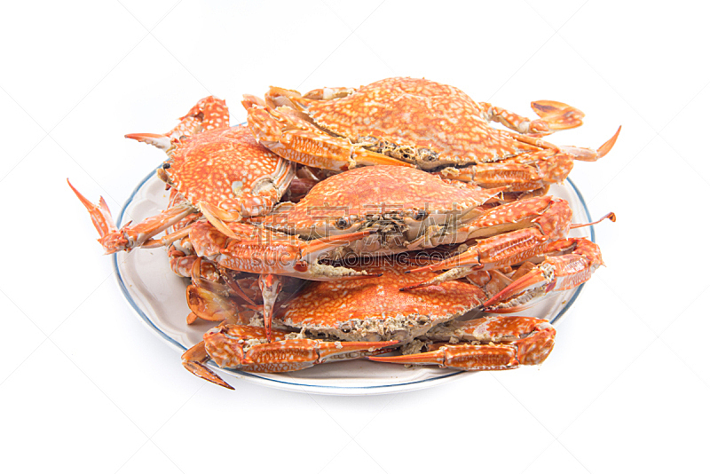 螃蟹,蒸汽,一个物体,大量物体,主菜盘,水平画幅,膳食,海产,动物身体部位,烹调