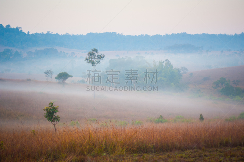 草原,堪萨斯,水平画幅,山,无人,早晨,夏天,户外,草,美国中西部地区