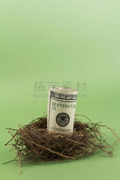 养老金,钞票卷,垂直画幅,正面视角,留白,绿色,100号,无人,金融,鸟巢