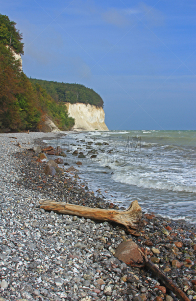 吕根岛,white cliffs,浮木,垂直画幅,天空,暴风雨,无人,密执安,打火石,户外